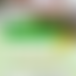 📔小学生におすすめ｜めだか探求教室で「考える力」を育てる新講座スタート！【三木町・高松市・さぬき市】