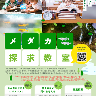 📔小学生におすすめ｜めだか探求教室で「考える力」を育てる新講座スタート！【三木町・高松市・さぬき市】