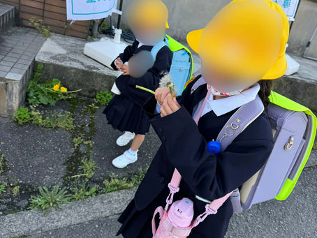 📔放課後のひとコマ｜タンポポの綿毛で、ちょっとした幸せ時間🌼