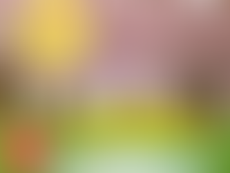 📔春期講習のご案内｜三木町の新学年スタート対策