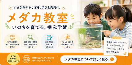 69852a1c-9c57-4a73-b50b-910fb481e7c2.png