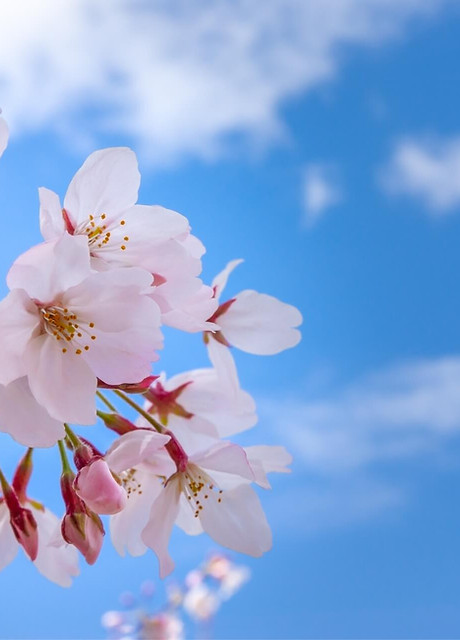 こまつ司法書士事務所