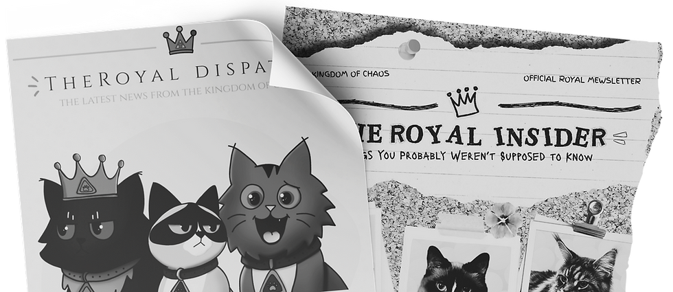 Issue #0016:FROM MEOWMY’S DESK WE’RE STILL HERE — WE’RE JUST BUILDING.