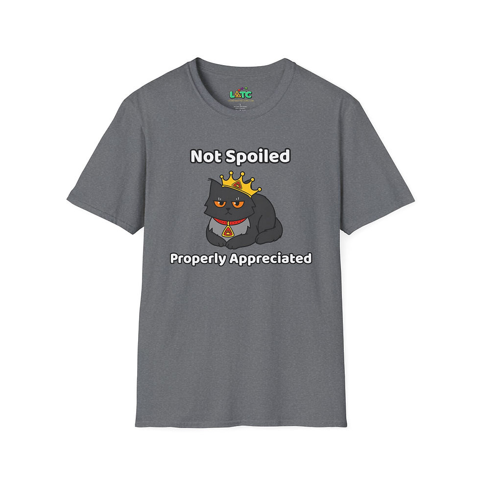 Thumbnail: BK's "Not Spoiled, Properly Appreciated"  Tee