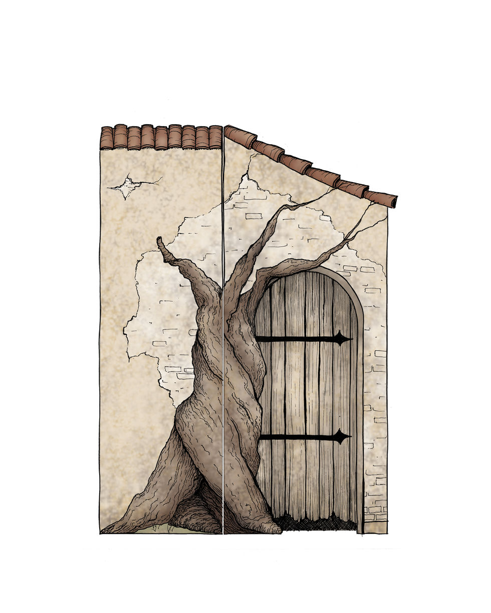 Venice Door Solo.jpg