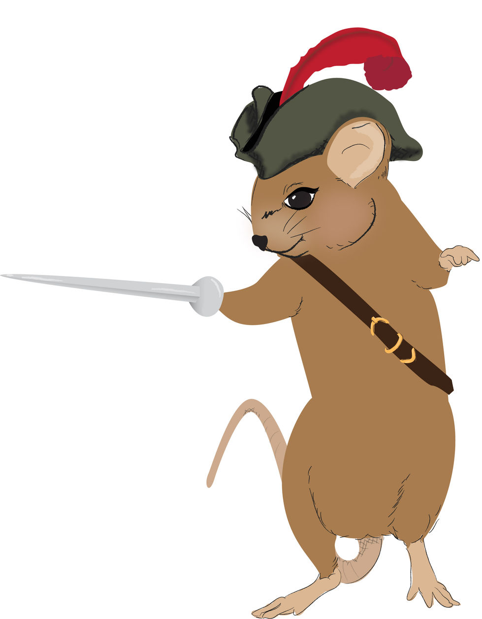 Pirate Vole.jpg