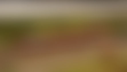 AB Modell an der Spielwarenmesse Nürnberg 2020