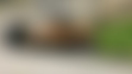 VIDEO: RhB Bahnfestival