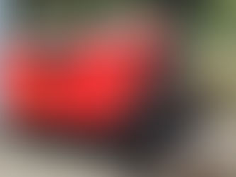 MGB Modell H0m: Schneeschleuder Xrot e und mehr