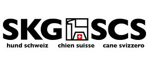 LOGO SKG