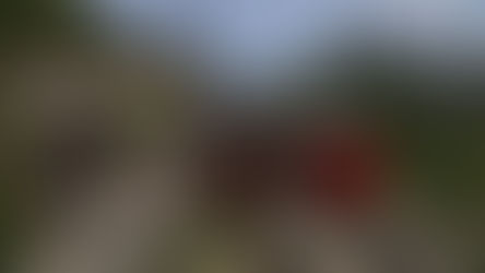 Volldampf 55: Schynige Platte Bahn