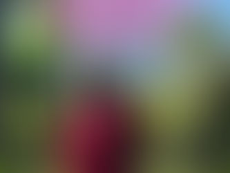 Visit to Cooper's , Lonavala||Fudge and Chiklis ||