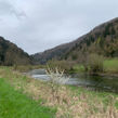 IMG_0784.jpeg