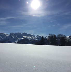 IMG_9462.jpg