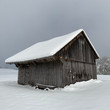 Schneeschuhwanderung spontan!