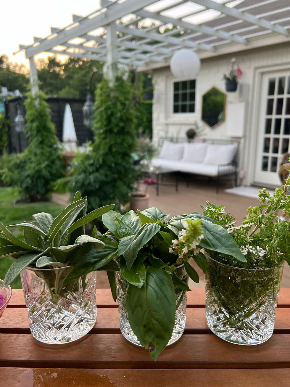 Le Sol House | Earth Day Celebration 