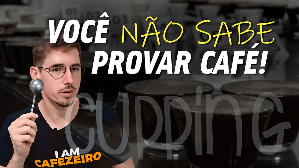 Você sabe o que é Cupping?