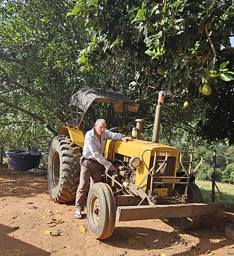 fazenda de café