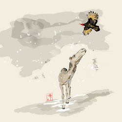 Humpday Thanksgiving