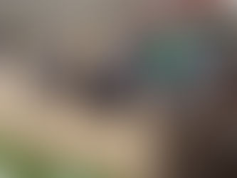 Noël pour toutes...