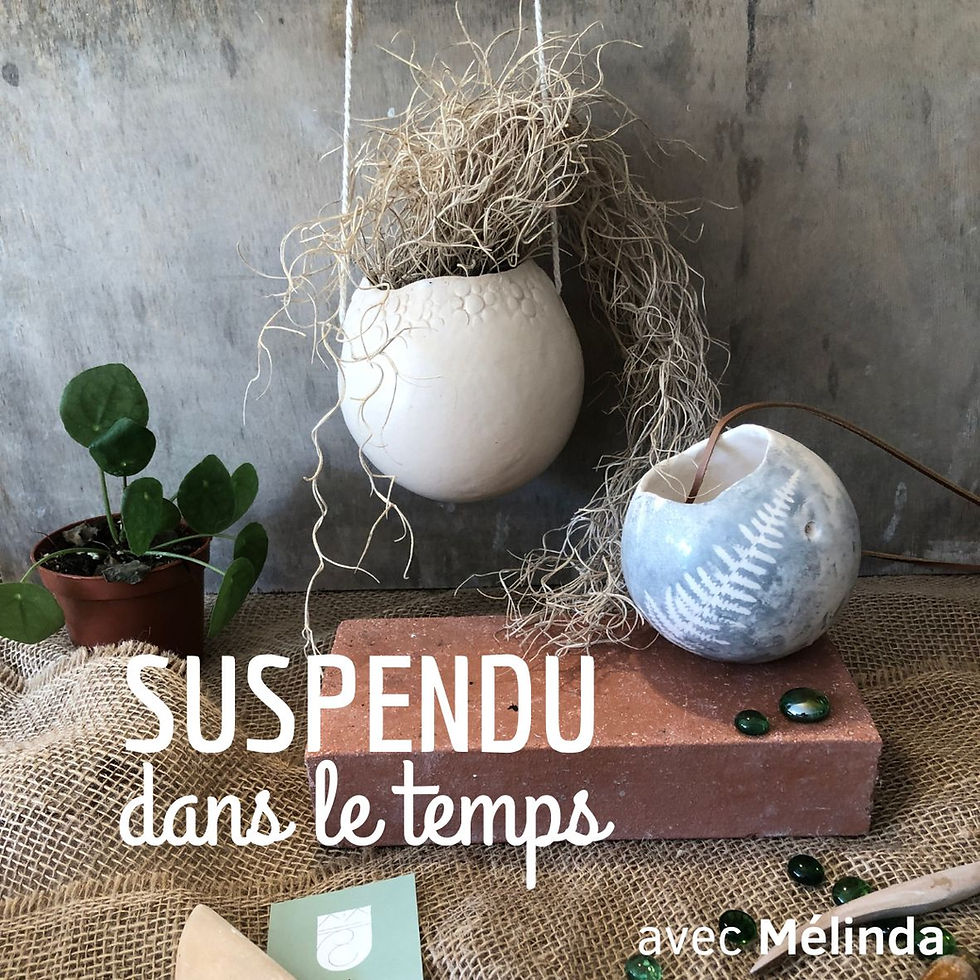 Modelez votre suspension pour plantes