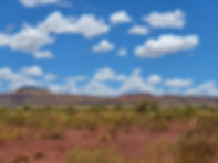 20201207_125132.jpg