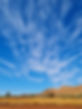 20230529_125107.jpg