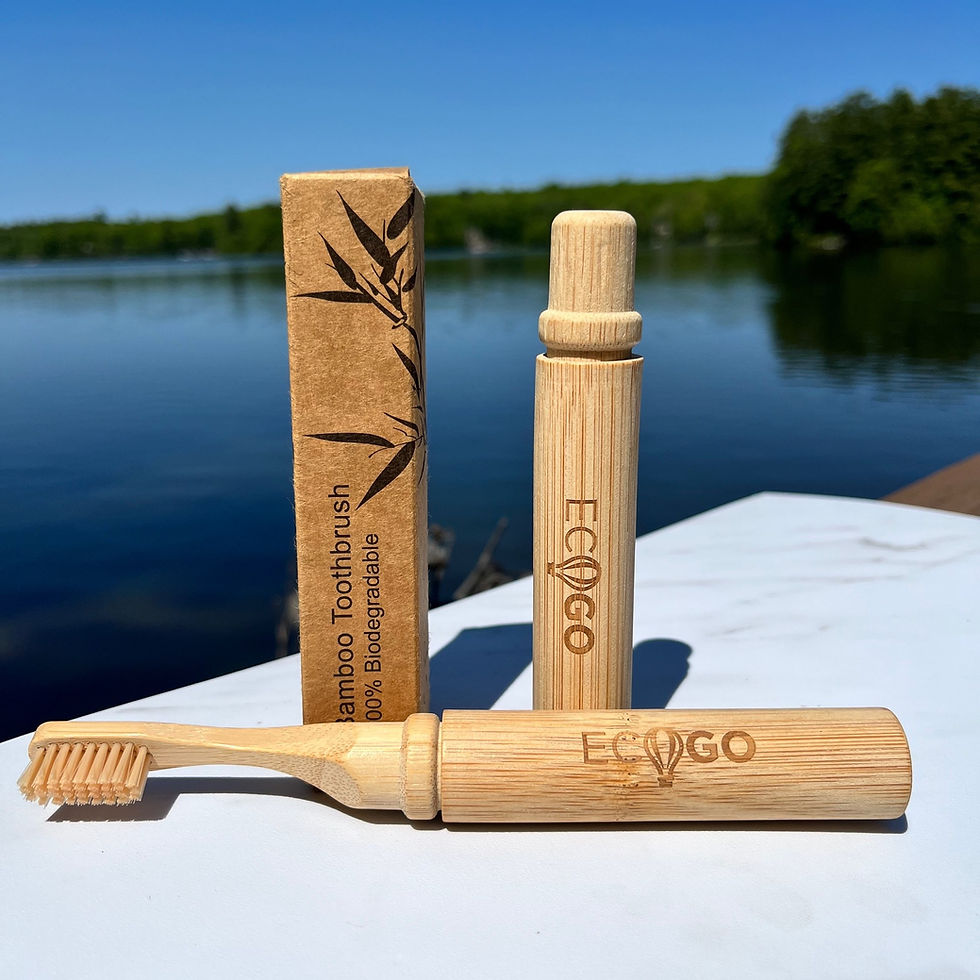 EcoGoTravel Foldable Bamboo Toothbrush
