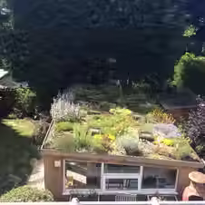 A pool house with garden roof