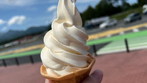 🌻8月の診察につきまして🌻
