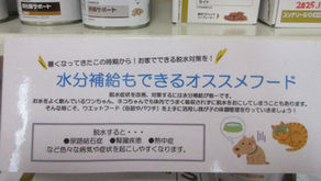 5月(GW)の診察とフィラリア予防注射について🐕