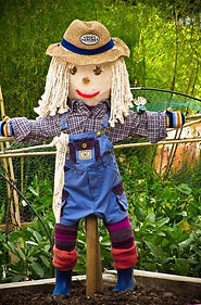 Scarecrow.jpg