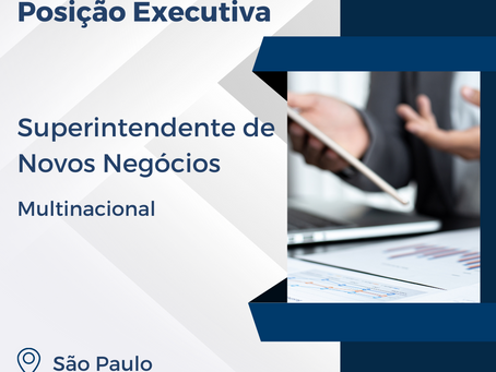 Superintendente de Novos Negócios I Multinacional I São Paulo