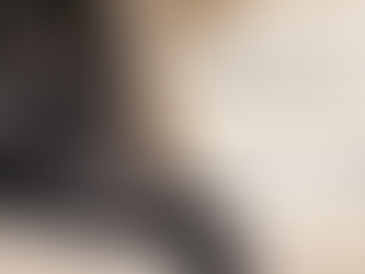 Maine Coon et hypertype, article sur le standard, la santé et la sélection – Ti ar Steredenn