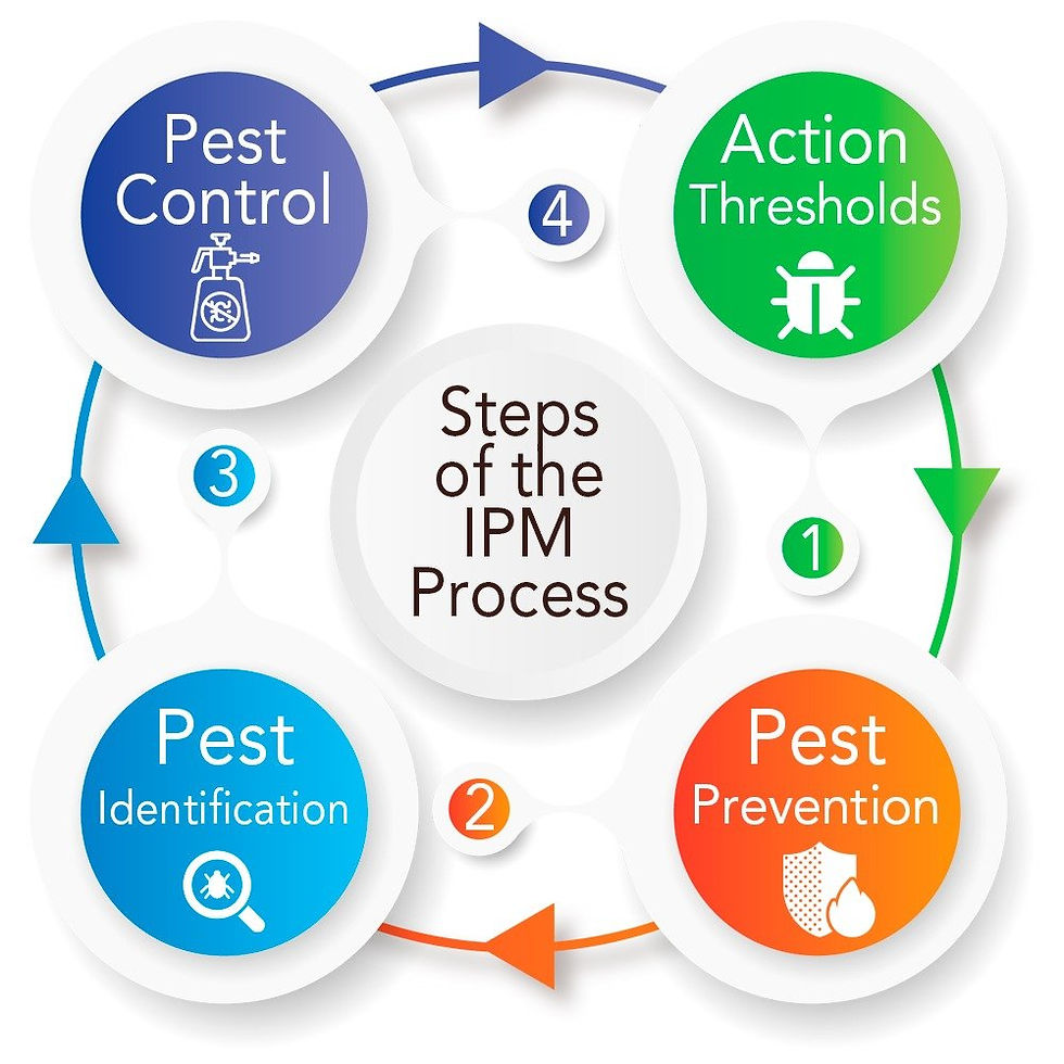 Integrated Pest Management Is Vital To Successful Pest Control