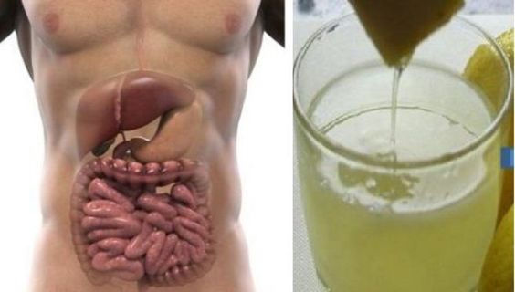 Remove All Toxins From the Body in 3 Days: A Method That Prevents Cancer, Removes Fat and Excess Water!:
