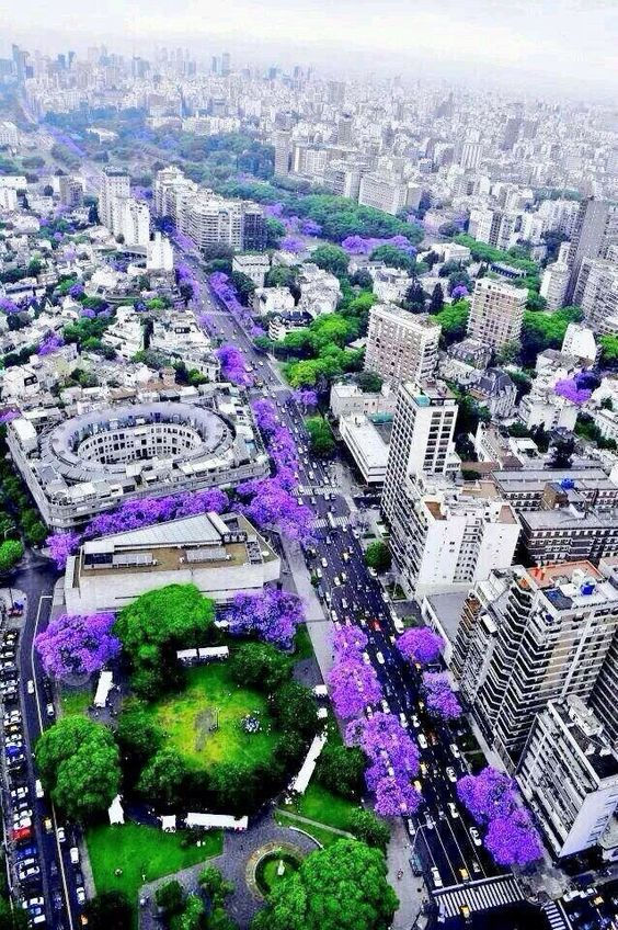 Esta ciudad es México City en México. La ciudad es muy grande y tiene muchos rascacielos. La ciudad es muy moderna y avanzada. La cuadra en la ciudad tiene una plaza muy grande.