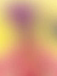 Las Lecciones de Lizzie Mcguire…