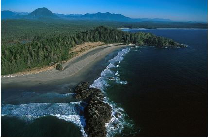 Vancouver website pic.JPG