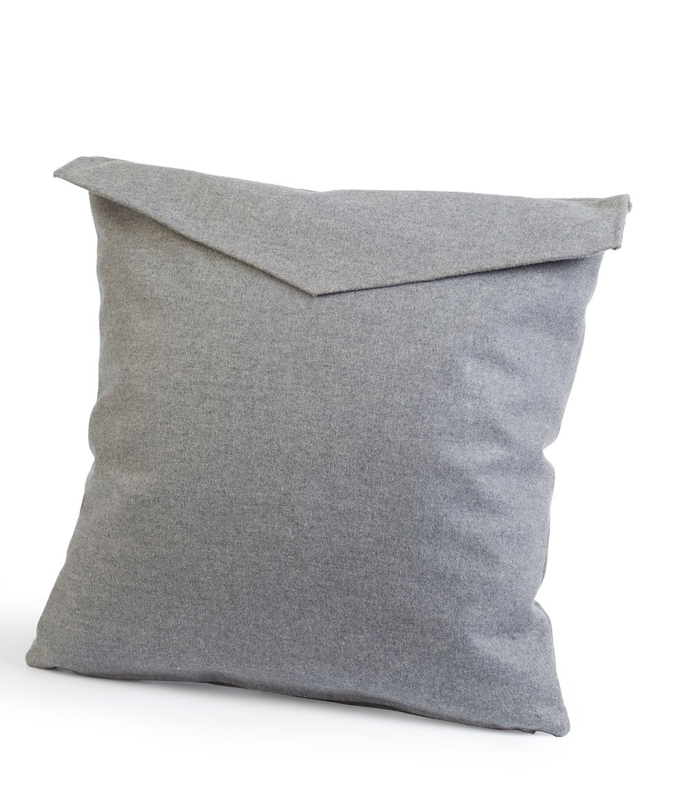 Thumbnail: Aorta Cushions