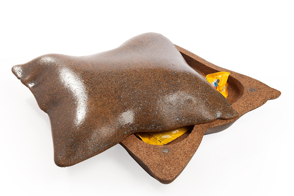 Storage Cushions