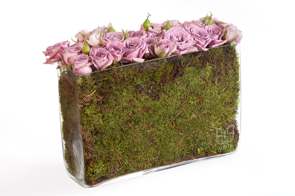 Thumbnail: Glass Plant Pot