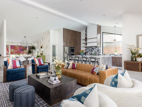 Houston TX Mid Century Modern Living Space