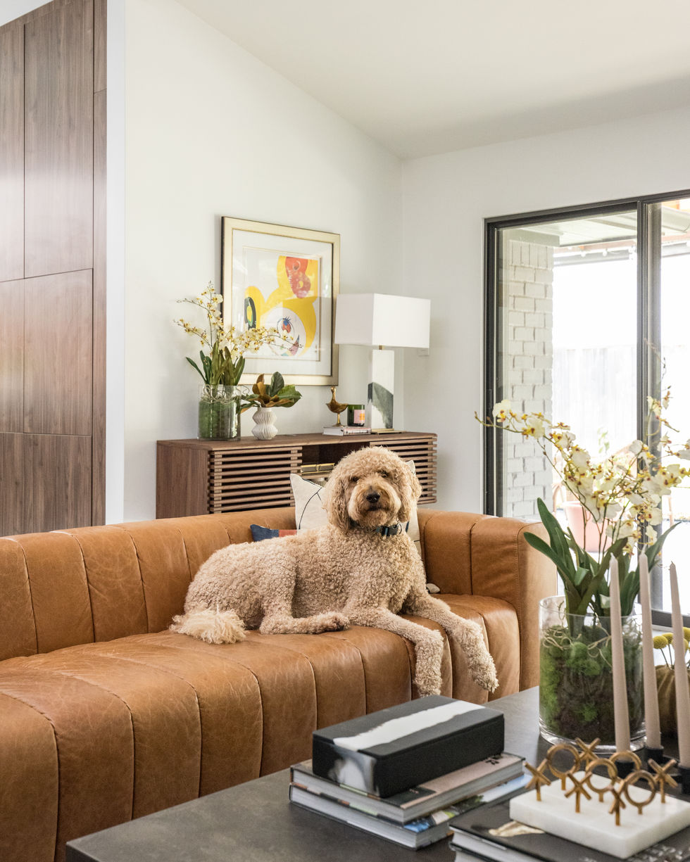 Bold & Beautiful Houston Modern