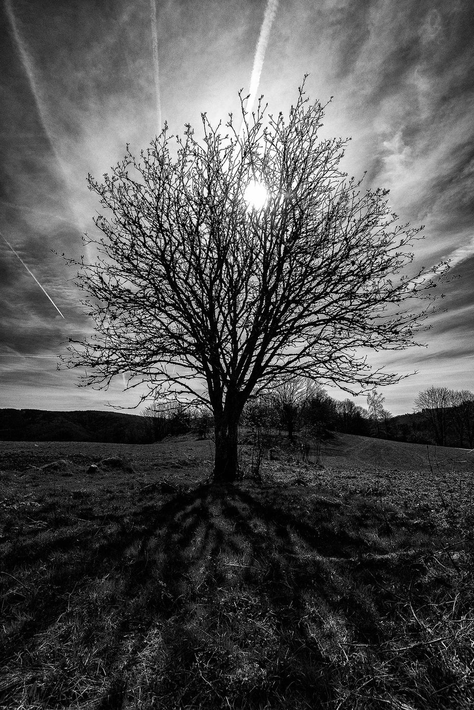 Portfolio Pascal Stinflin