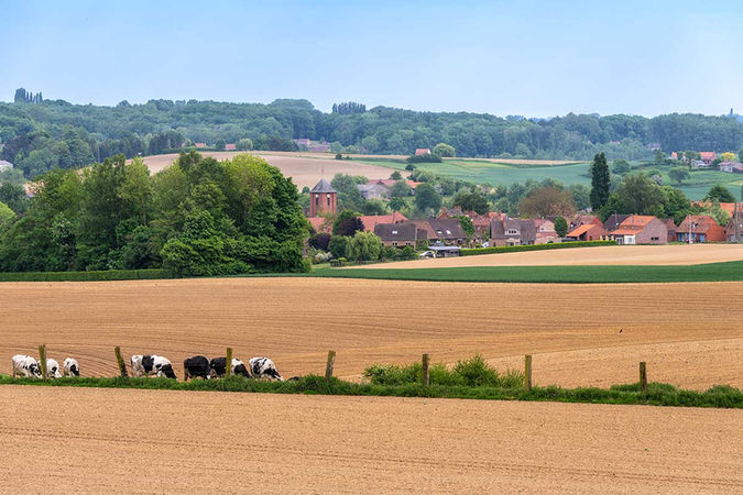 Autour du mont des Cats