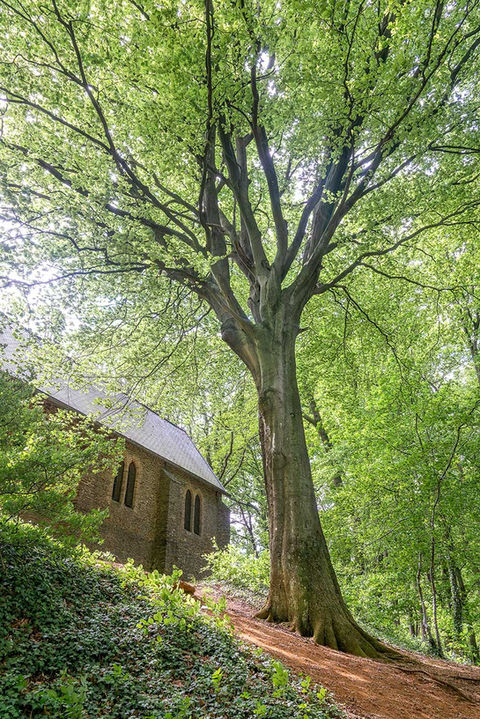 Portfolio Pascal Stinflin