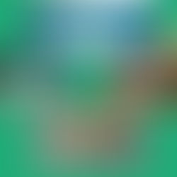 O PASSO DE R$100.000.000.000,00