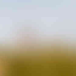 Photo de famille en extérieur