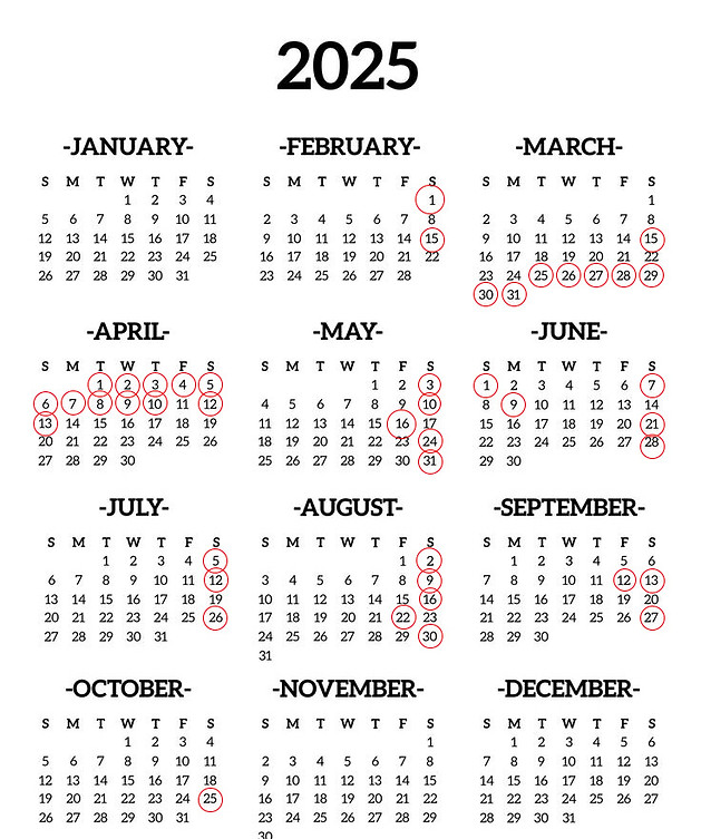 2025 Printable Calendar One Page _ Paper